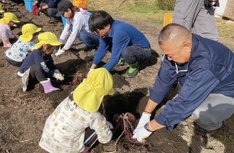 園児らと収穫する様子