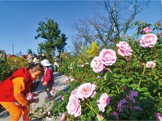 園内でバラの花を観賞する来園者