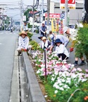 真夏の作業の様子