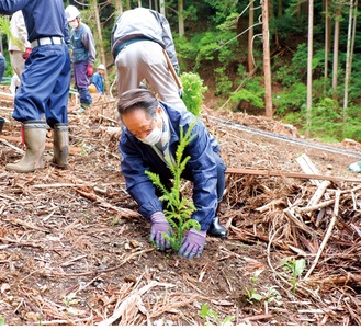 無花粉スギを植栽する小野澤町長