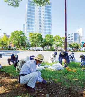 イベントに備え公園をきれいに