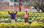 昨年の開花の様子