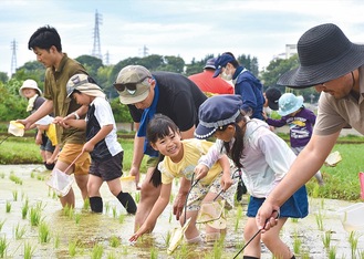 田んぼは生き物の宝庫