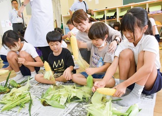 夢中になってトウモロコシの皮をむく児童ら