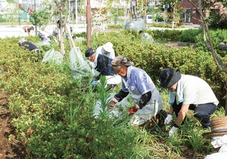 草むしりを行う参加者