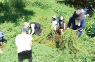 外来種の動植物を駆除