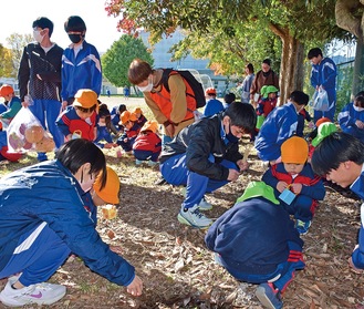 校庭でどんぐりを拾う生徒と園児ら