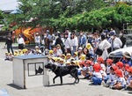 災害救助犬のデモンストレーション