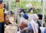 園芸農家と交流しよう