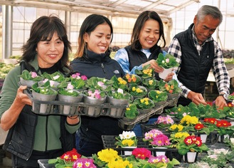 加藤花園での出荷作業の様子