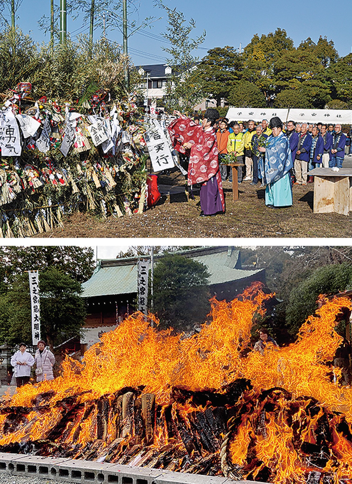 無病息災願いどんど焼き 市内各地で伝統行事 | 伊勢原 | タウンニュース