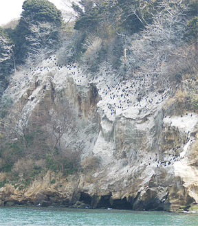 白色に覆われ、水墨画のように（写真は過去のもの）