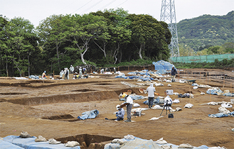 小田和湾を見渡す小高い丘にある調査現場。面積は9,800平方メートル