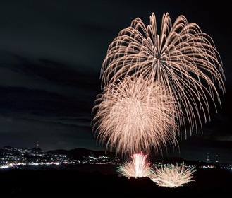 夜空を鮮やかに彩る花火（写真は昨年）