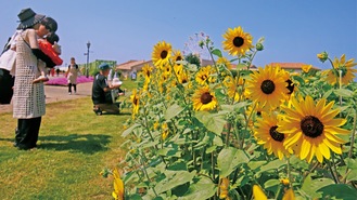 写真撮影を楽しむ人々（８月３日撮影）