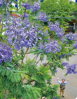 花を見上げて｢万歳｣する松本さん＝店舗２階から６月９日撮影