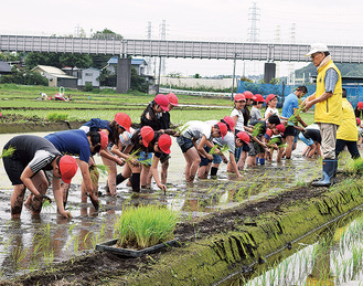 田植えを行った５年生