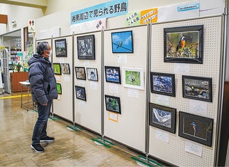 １年撮りためた力作37点を展示