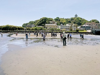 潮が引いて地続きになったトンボロを歩いて江の島を目指す人々（５月11日正午ごろ）