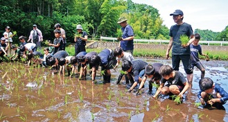 棚田に苗を植える子どもたち