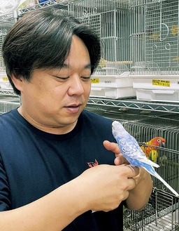 高見代表と保護しているインコたち