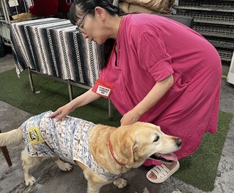 犬のアロママッサージをする西野さん（同協会提供）