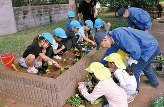 花苗を植える園児たち