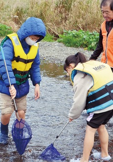 川の生物を探す児童ら