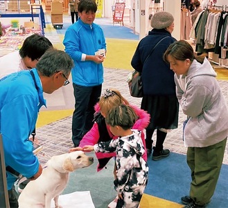 盲導犬に触れて交流する来店者