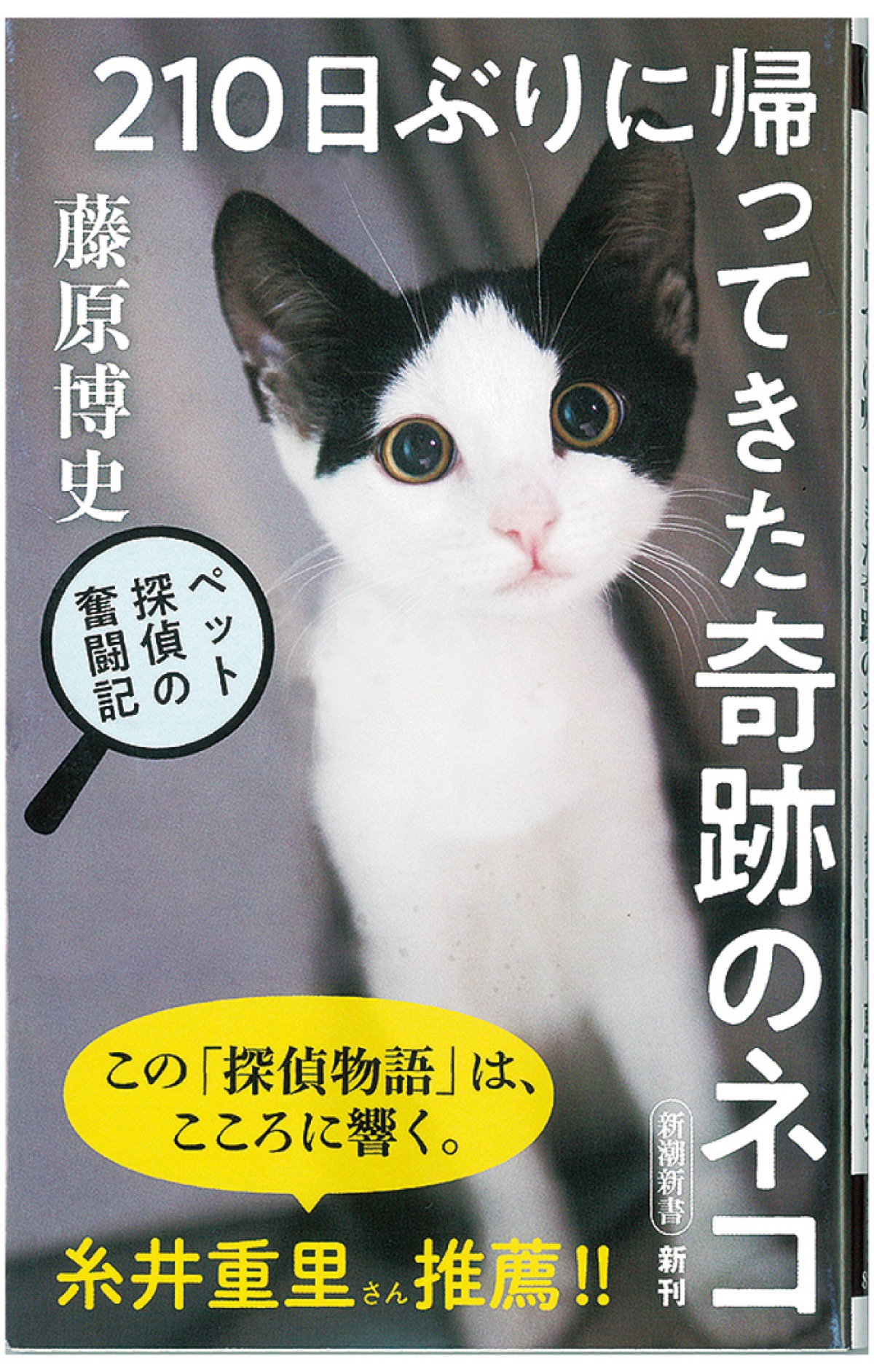 猫探偵 の物語 大鋸在住 藤原さん新刊 藤沢 タウンニュース