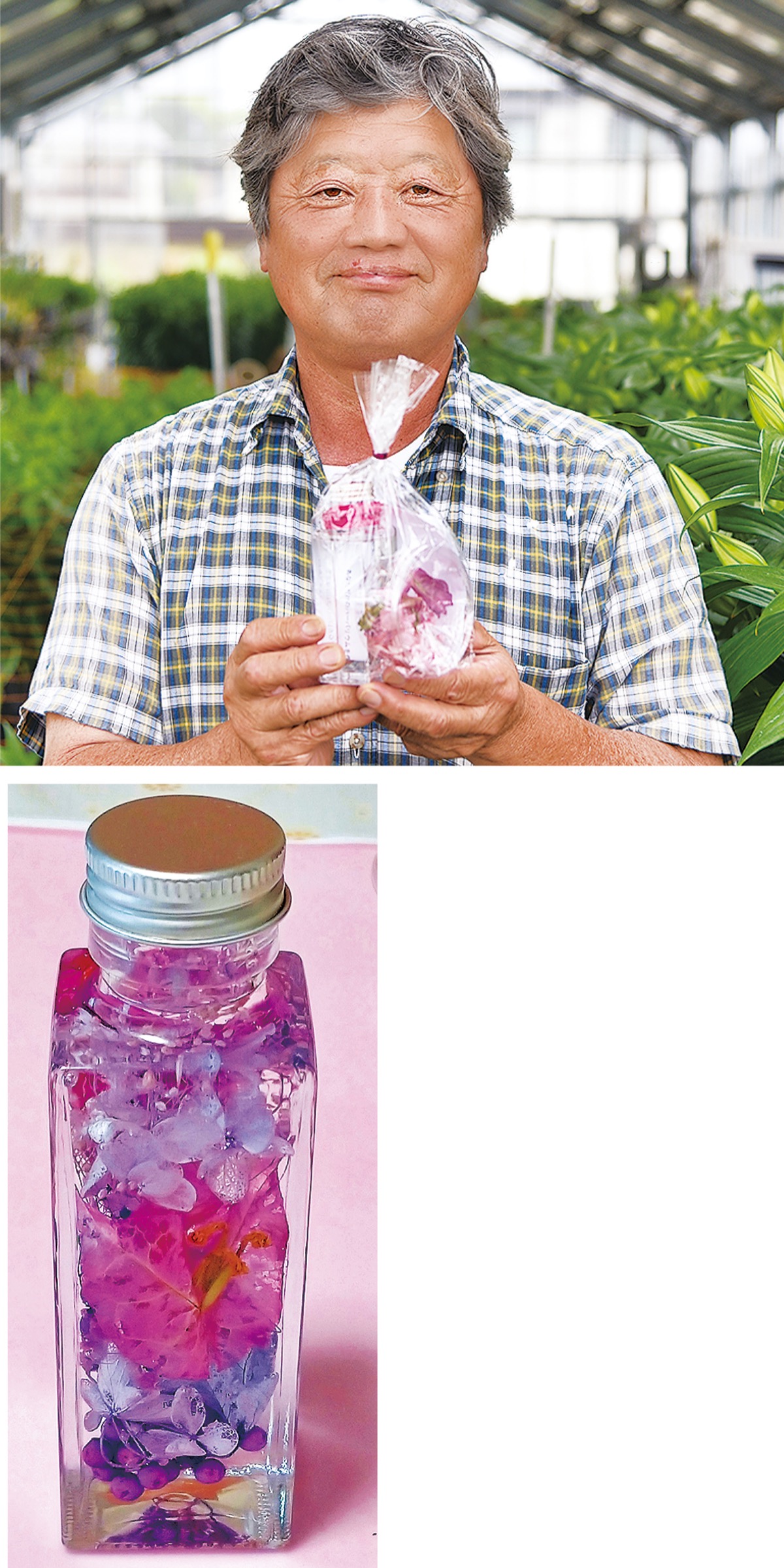 ハーバリウム」楽しんで 地元の花農家が販売 | 藤沢 | タウンニュース