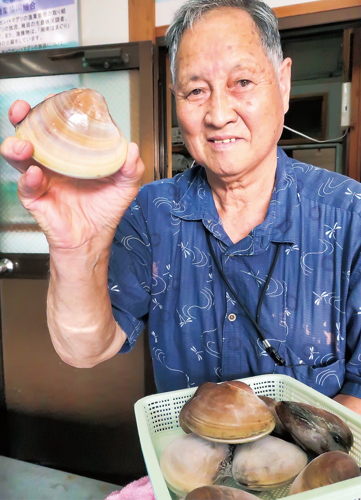 江ノ島 はまぐり