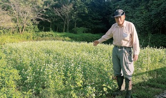 最盛期を迎えたそばの花と森田さん＝５日