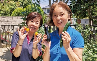 利用者とスタッフで楽しむ野菜収穫