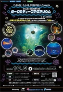 夜の水族館に行こう