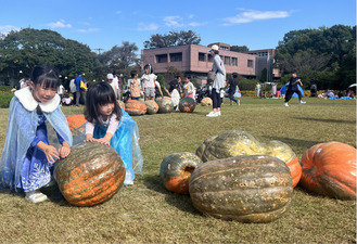 転がせ！巨大カボチャ