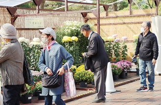 県菊花大会１日に開幕