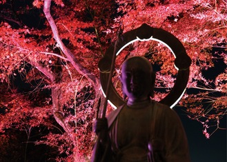 かまくら花めぐり（長谷寺：盛夏から）