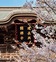 かまくら花めぐり（建長寺：早春から）