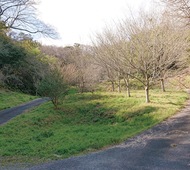 時を囲う覚園寺