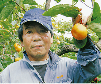 「大きな実に育っています」と石井さん