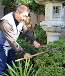 庭木の剪定をする楠本さん