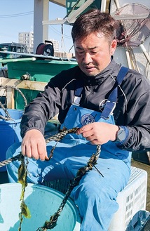 素手で養殖ロープに種付けを行う田中さん