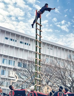 歓声があがったはしご乗りの妙技＝茅ヶ崎市消防提供