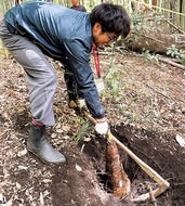 茅ヶ崎の里山でタケノコ掘り