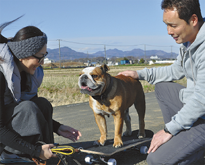 新スケボー犬平塚で誕生か 茅ヶ崎 タウンニュース