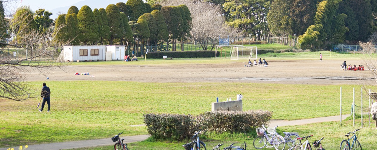 今年度 天然芝に 川とのふれあい公園サッカー場 寒川 タウンニュース