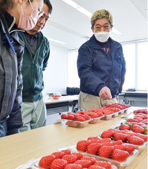 ｢味のった」いちご出荷