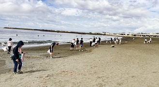 海岸でごみを拾う生徒たち