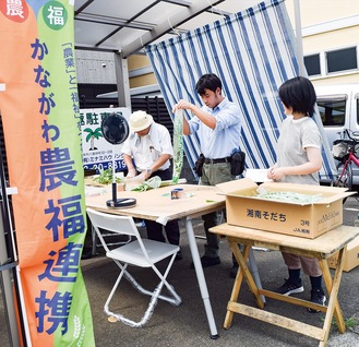 「湘南エンサイ」の袋詰め作業の様子